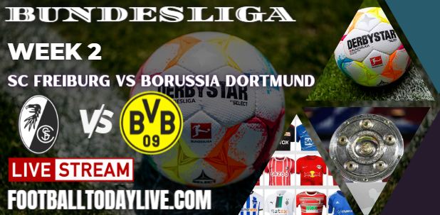 SC Freiburg vs Borussia Dortmund Live Stream 2022 Bundesliga: Week 2, Score, Players, Reports