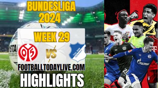 FSV Mainz Vs TSG Hoffenheim Bundesliga Match 29 Highlights 2024