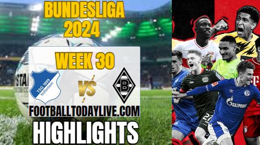Hoffenheim Vs Monchengladbach Match 30 Highlights 2024