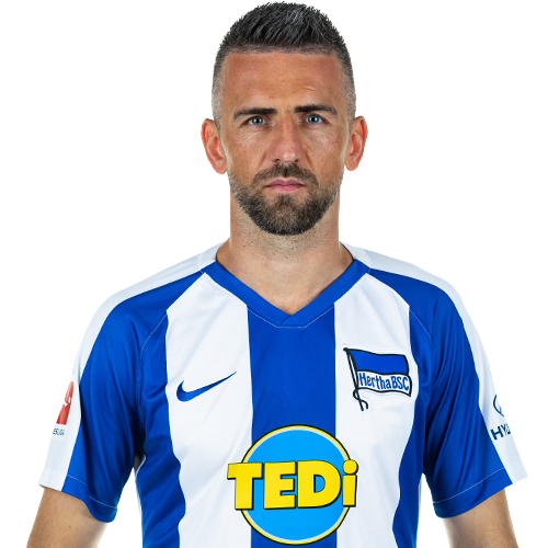 Vedad Ibisevic